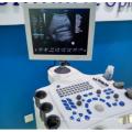 China Medical Pregnancy 3D 4D Color Doppler Digital Ultrasound Scanner Machine Price